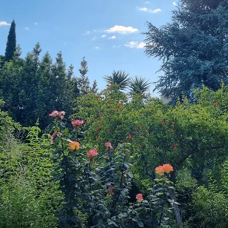 Nyaraló El Correc *