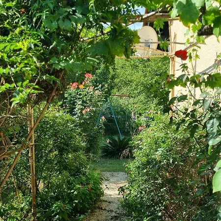 Ferienhaus El Correc