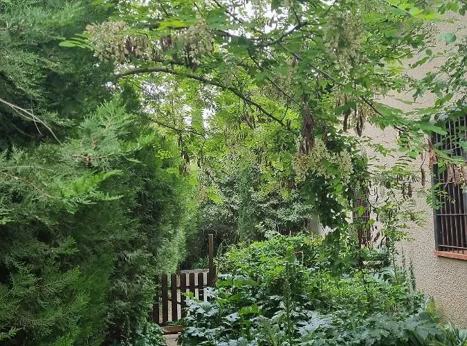 El Correc * Laroque-des-Albères