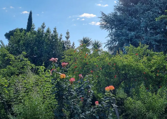 Ferienhaus El Correc *